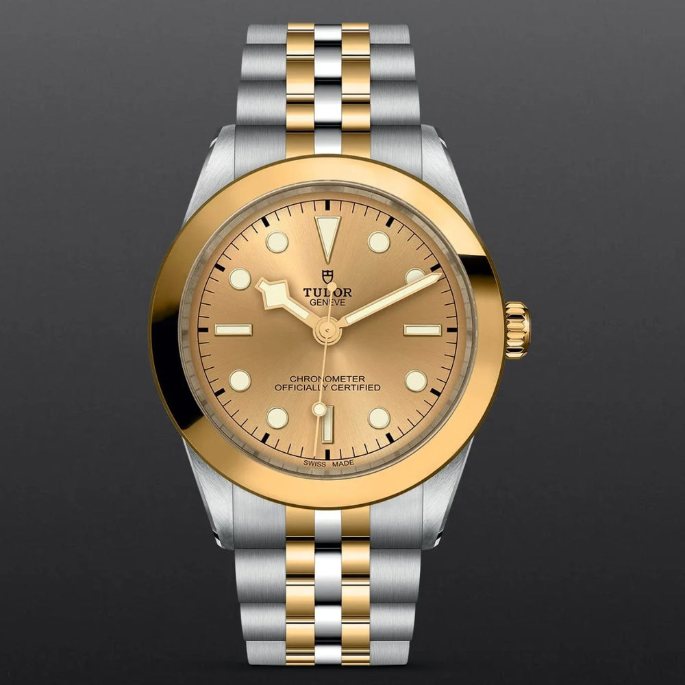Tudor Black Bay S&G 39 mm