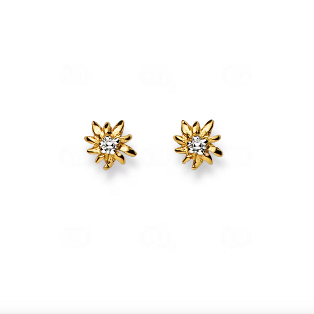 Ohrstecker 750/18 K Bicolor, Edelweiss